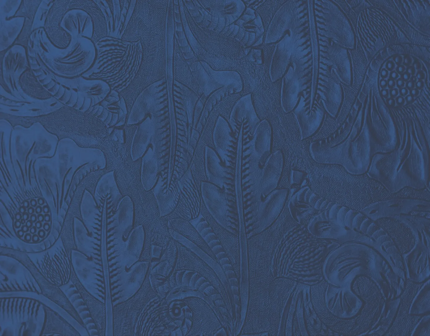 Header Page Background